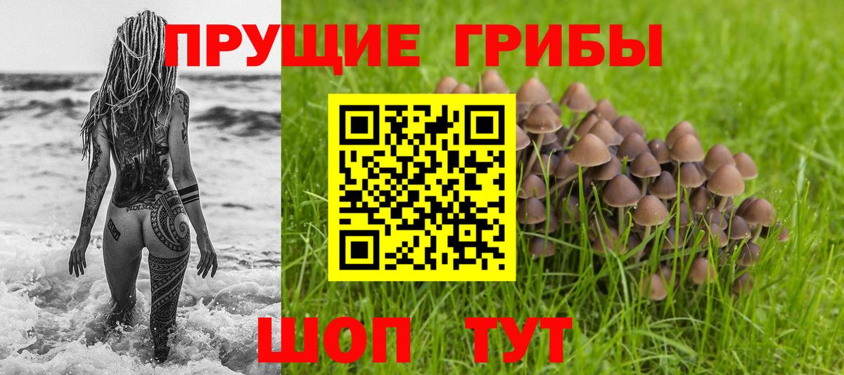 Псилоцибиновые грибы ЛСД Большой Камень
