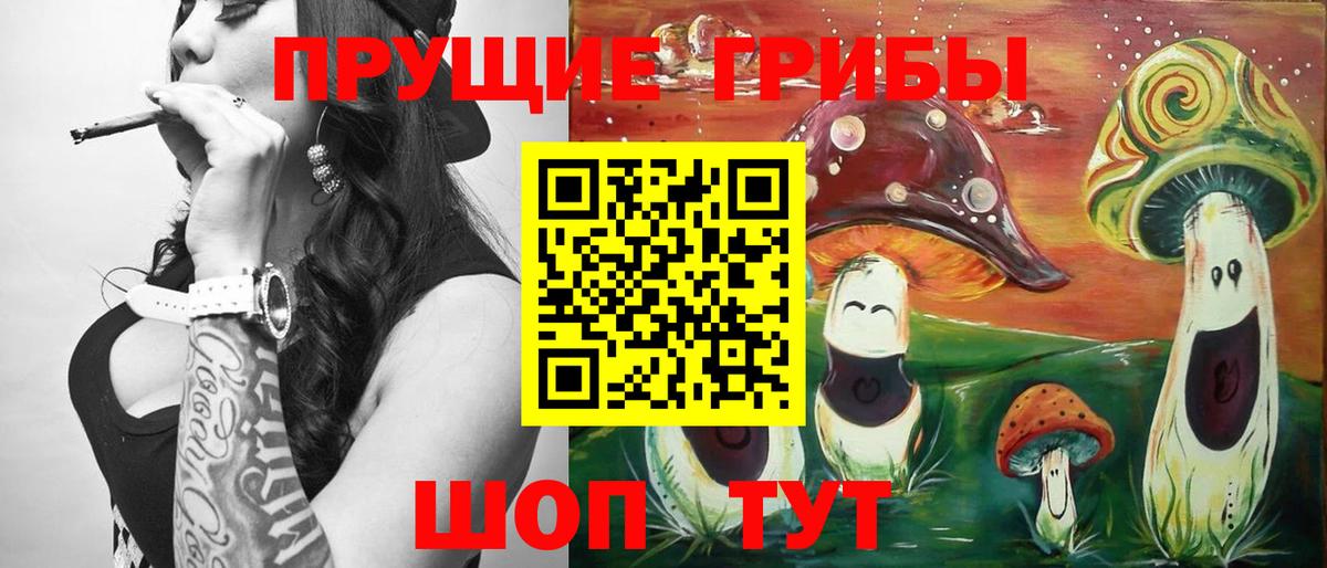 Галлюциногенные грибы GOLDEN TEACHER  Вход с VPN  Большой Камень  Галлюциногенные грибы прущие грибы 