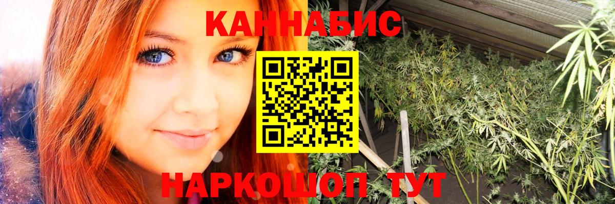 Шишки марихуана конопля  Марихуана OG Kush  Большой Камень  Вход с VPN 